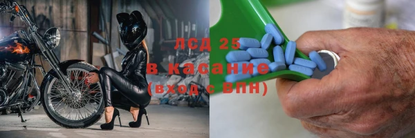 СК Алексин