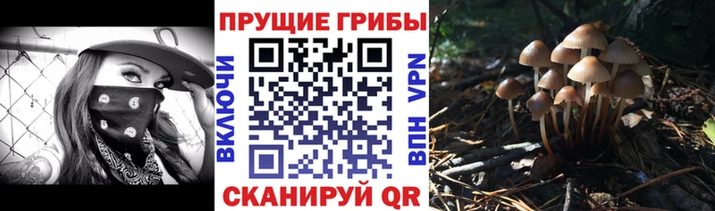 Галлюциногенные грибы мицелий  Купить  Малаховка 